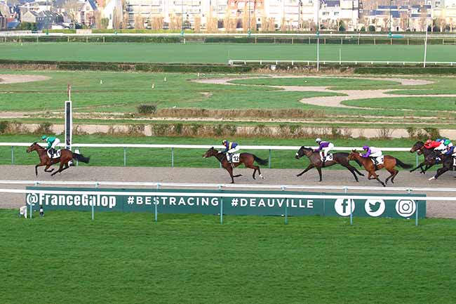 Photo d'arrivée de la course pmu PRIX DU NICE HAVRAIS à DEAUVILLE le Mercredi 12 janvier 2022