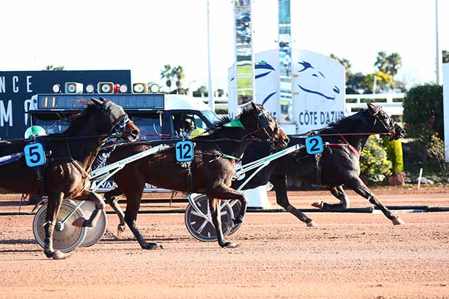 Photo d'arrivée de la course pmu PRIX JUNIOR DU RIB à CAGNES-SUR-MER le Jeudi 13 janvier 2022