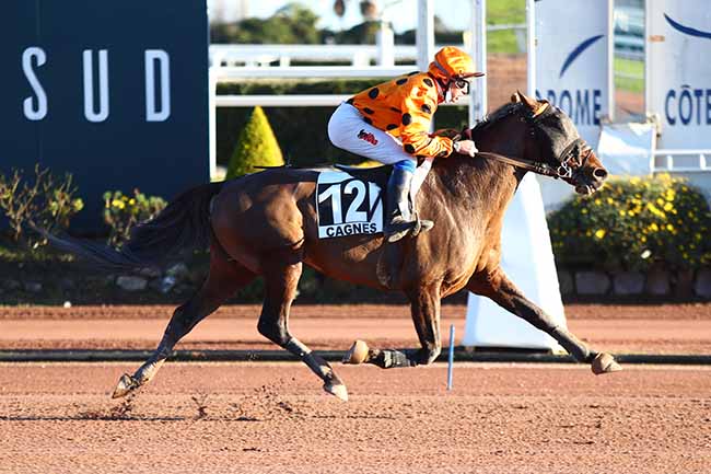 Photo d'arrivée de la course pmu PRIX HULK DE GODISSON à CAGNES-SUR-MER le Jeudi 13 janvier 2022