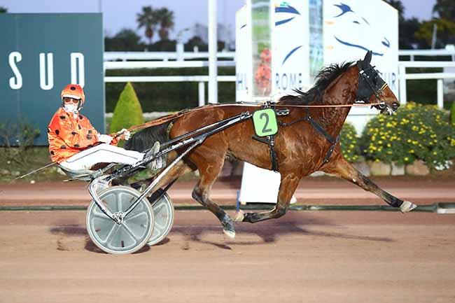 Photo d'arrivée de la course pmu PRIX DE CAGNES-SUR-MER à CAGNES-SUR-MER le Jeudi 13 janvier 2022