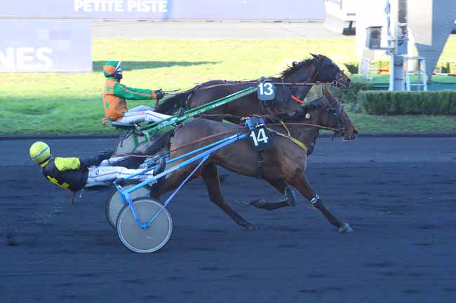 Photo d'arrivée de la course pmu PRIX DE GUERLESQUIN à PARIS-VINCENNES le Vendredi 14 janvier 2022