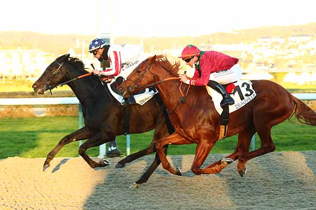 Photo d'arrivée de la course pmu PRIX DE LA CHAPELLE-SAINT-LAURENT à DEAUVILLE le Vendredi 14 janvier 2022