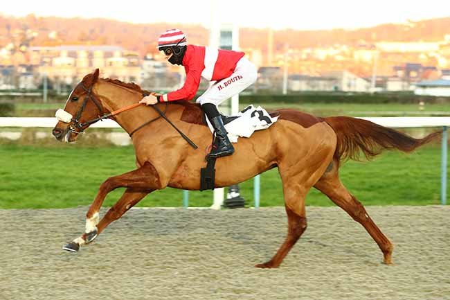 Photo d'arrivée de la course pmu PRIX DE LA COUR ORIOT à DEAUVILLE le Vendredi 14 janvier 2022
