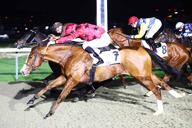 Photo d'arrivée de la course pmu PRIX D'HASPEL à DEAUVILLE le Vendredi 14 janvier 2022