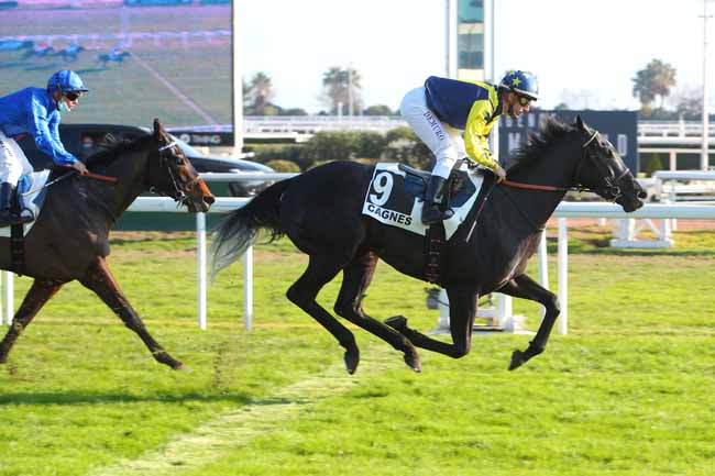 Photo d'arrivée de la course pmu PRIX DE CANNES à CAGNES-SUR-MER le Mercredi 19 janvier 2022