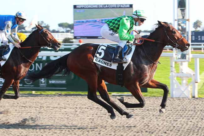 Photo d'arrivée de la course pmu PRIX CHERET à CAGNES-SUR-MER le Mercredi 19 janvier 2022