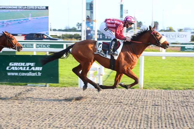 Photo d'arrivée de la course pmu PRIX DES VALLIERES à CAGNES-SUR-MER le Mercredi 19 janvier 2022