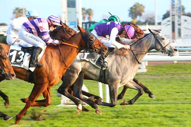 Photo d'arrivée de la course pmu PRIX DU VAL CAREI à CAGNES-SUR-MER le Mercredi 19 janvier 2022