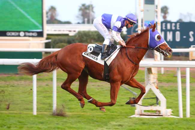 Photo d'arrivée de la course pmu PRIX DE LA CROISETTE à CAGNES-SUR-MER le Mercredi 19 janvier 2022