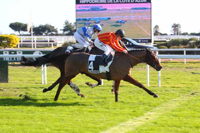Photo d'arrivée de la course pmu PRIX DE LA CORNICHE FLEURIE à CAGNES-SUR-MER le Vendredi 21 janvier 2022