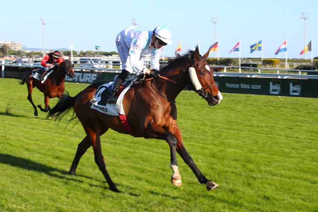 Photo d'arrivée de la course pmu PRIX DES BLEUETS à CAGNES-SUR-MER le Vendredi 21 janvier 2022