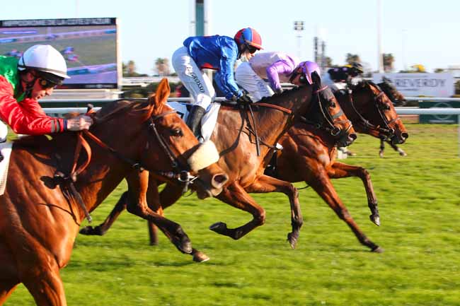 Photo d'arrivée de la course pmu PRIX DU COL DE LA BONETTE à CAGNES-SUR-MER le Vendredi 21 janvier 2022