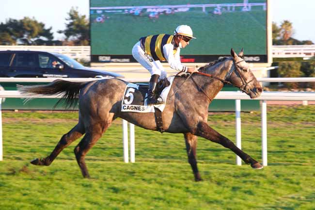 Photo d'arrivée de la course pmu PRIX DU COL DE VENCE à CAGNES-SUR-MER le Vendredi 21 janvier 2022