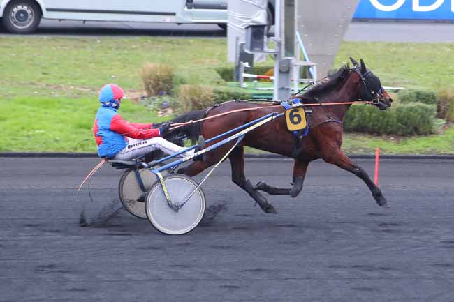 Photo d'arrivée de la course pmu PRIX DE MAISONS-LAFFITTE à PARIS-VINCENNES le Samedi 22 janvier 2022