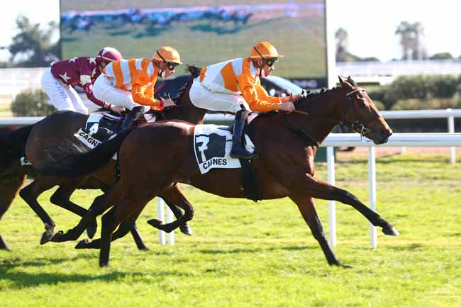 Photo d'arrivée de la course pmu PRIX DES ILES DE LERINS à CAGNES-SUR-MER le Lundi 24 janvier 2022