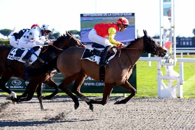 Photo d'arrivée de la course pmu PRIX DES OLIVIERS à CAGNES-SUR-MER le Lundi 24 janvier 2022