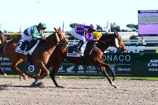 Photo d'arrivée de la course pmu PRIX DE LA GAUDE à CAGNES-SUR-MER le Lundi 24 janvier 2022