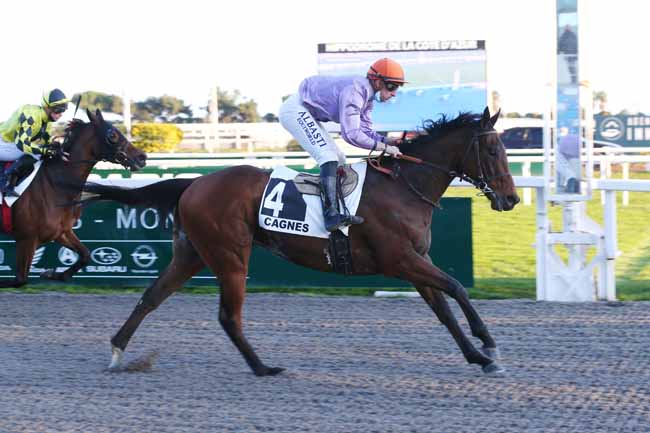 Photo d'arrivée de la course pmu PRIX DU ROUSSILLON à CAGNES-SUR-MER le Lundi 24 janvier 2022
