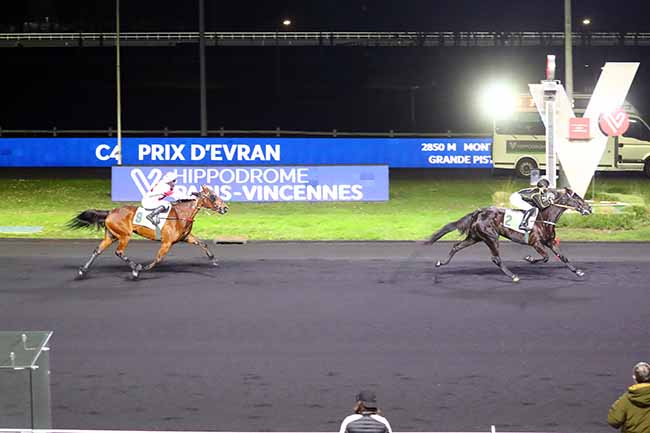 Photo d'arrivée de la course pmu PRIX D'EVRAN à PARIS-VINCENNES le Lundi 24 janvier 2022