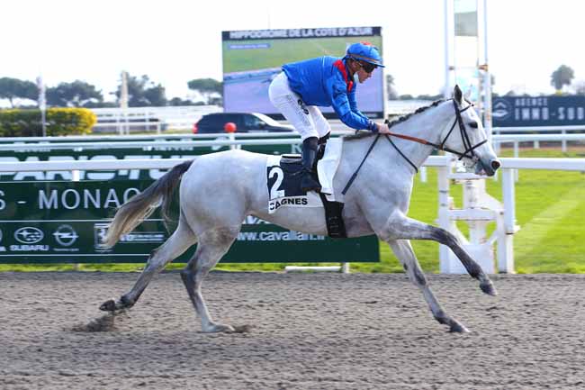 Photo d'arrivée de la course pmu PRIX DES ILES DU FRIOUL à CAGNES-SUR-MER le Mardi 25 janvier 2022