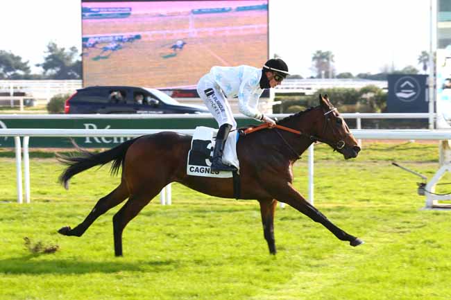 Photo d'arrivée de la course pmu PRIX DES NENUPHARS à CAGNES-SUR-MER le Mardi 25 janvier 2022