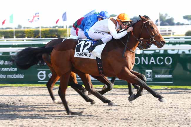 Photo d'arrivée de la course pmu PRIX DE MARSEILLE à CAGNES-SUR-MER le Mardi 25 janvier 2022