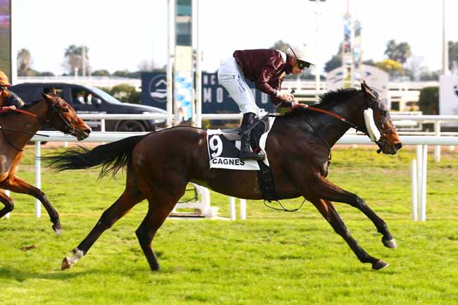 Photo d'arrivée de la course pmu PRIX DE MONS à CAGNES-SUR-MER le Mardi 25 janvier 2022