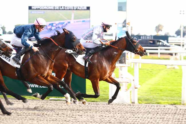 Photo d'arrivée de la course pmu PRIX DES ROMARINS à CAGNES-SUR-MER le Mardi 25 janvier 2022