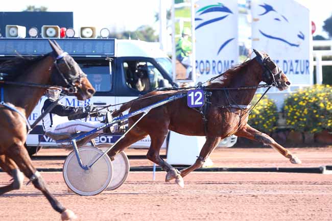 Photo d'arrivée de la course pmu PRIX TIGRE ROYAL à CAGNES-SUR-MER le Mercredi 26 janvier 2022