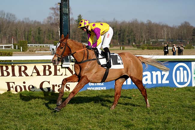 Photo d'arrivée de la course pmu PRIX LOUIS-ALEXANDRE SERS à PAU le Vendredi 28 janvier 2022