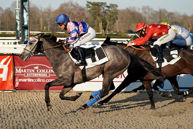 Photo d'arrivée de la course pmu PRIX PAU SO BRITISH à PAU le Vendredi 28 janvier 2022