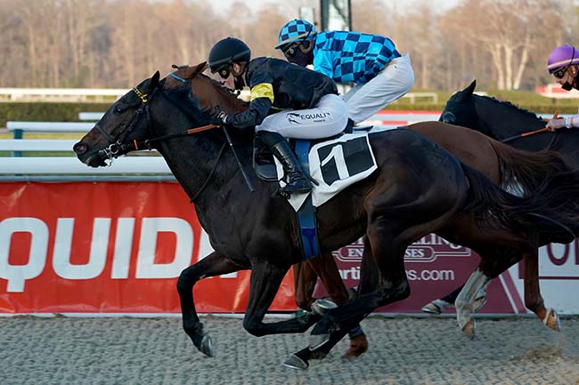 Photo d'arrivée de la course pmu PRIX DU CERCLE ANGLAIS à PAU le Vendredi 28 janvier 2022
