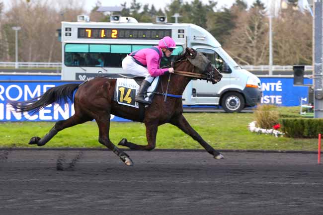 Photo d'arrivée de la course pmu PRIX DE PUY GUILLAUME à PARIS-VINCENNES le Lundi 31 janvier 2022