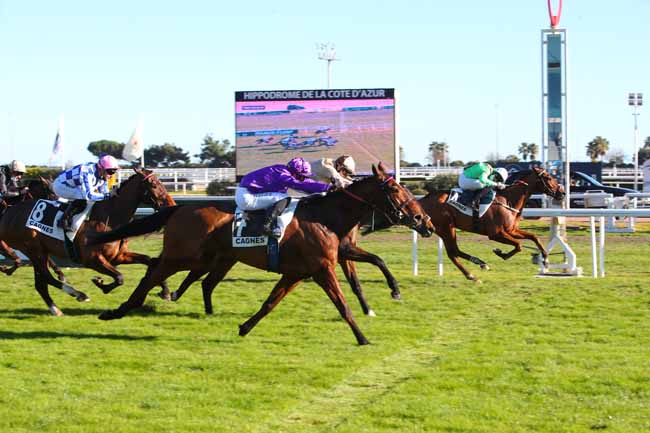 Photo d'arrivée de la course pmu PRIX BOGEVE à CAGNES-SUR-MER le Mardi 1 février 2022