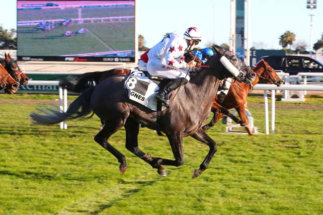 Photo d'arrivée de la course pmu PRIX DE MORGIOU à CAGNES-SUR-MER le Mardi 1 février 2022