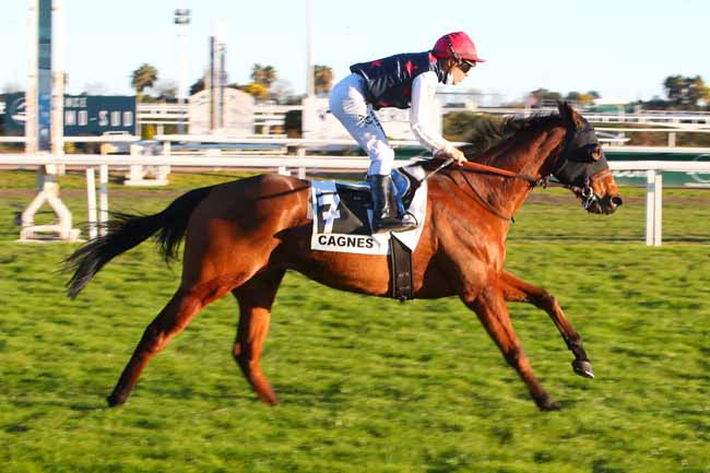 Photo d'arrivée de la course pmu PRIX DE SORMIOU à CAGNES-SUR-MER le Mardi 1 février 2022