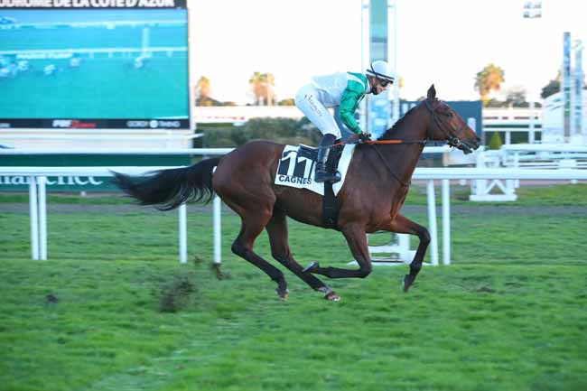 Photo d'arrivée de la course pmu PRIX DE CIMIEZ à CAGNES-SUR-MER le Mardi 1 février 2022