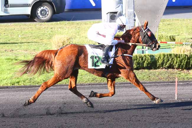 Photo d'arrivée de la course pmu PRIX DE CARCASSONNE à PARIS-VINCENNES le Lundi 7 février 2022