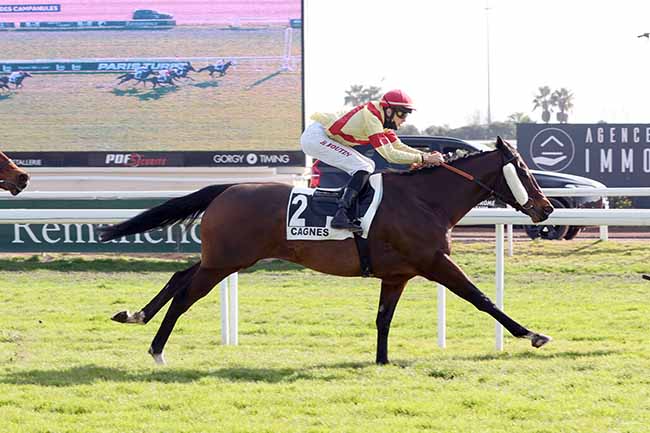 Photo d'arrivée de la course pmu PRIX DES CAMPANULES à CAGNES-SUR-MER le Vendredi 11 février 2022