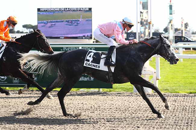 Photo d'arrivée de la course pmu PRIX CIRRUS DES AIGLES à CAGNES-SUR-MER le Vendredi 11 février 2022