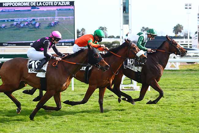Photo d'arrivée de la course pmu PRIX DE GRASSE à CAGNES-SUR-MER le Vendredi 11 février 2022