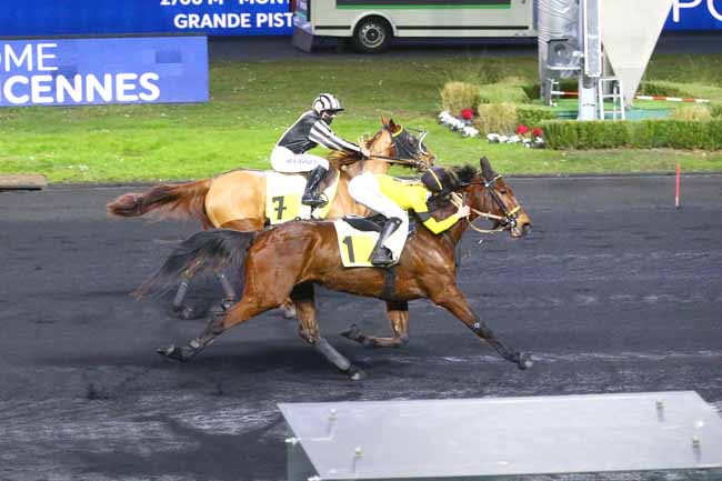 Photo d'arrivée de la course pmu PRIX DECIDEE à PARIS-VINCENNES le Samedi 12 février 2022