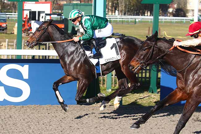 Photo d'arrivée de la course pmu PRIX DU PIC HARDY à CHANTILLY le Samedi 12 février 2022