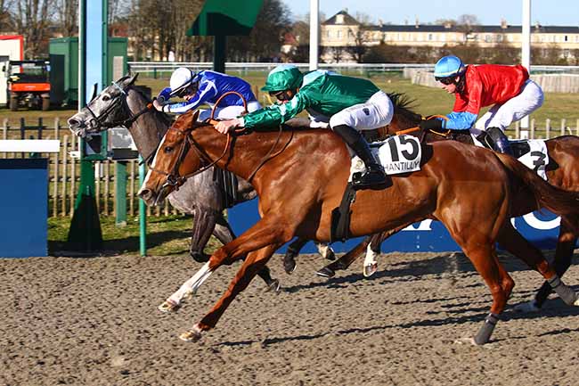 Photo d'arrivée de la course pmu PRIX DE LA ROUTE DES SUISSES à CHANTILLY le Samedi 12 février 2022