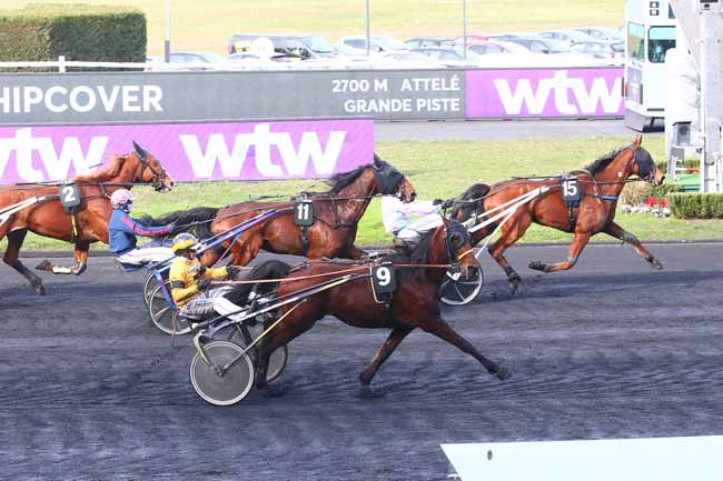 Photo d'arrivée de la course pmu PRIX WTW HIPCOVER (PRIX DE GAILLAC) à PARIS-VINCENNES le Dimanche 13 février 2022
