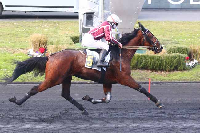 Photo d'arrivée de la course pmu PRIX LOUIS LE BOURG à PARIS-VINCENNES le Dimanche 13 février 2022