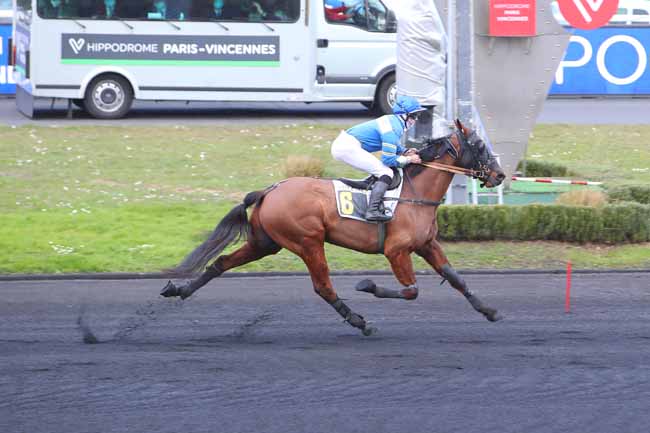 Photo d'arrivée de la course pmu PRIX DE CHATELAILLON-LA-ROCHELLE à PARIS-VINCENNES le Lundi 14 février 2022