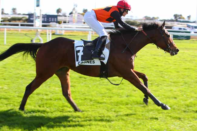 Photo d'arrivée de la course pmu PRIX DE TUNIS KASSAR SAID à CAGNES-SUR-MER le Mercredi 16 février 2022