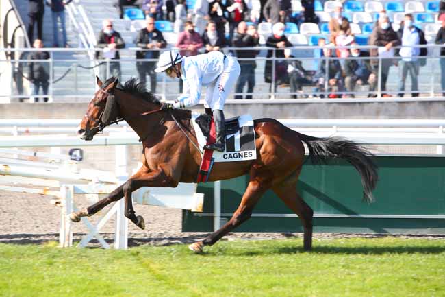 Photo d'arrivée de la course pmu PRIX DES MIMOSAS à CAGNES-SUR-MER le Mercredi 16 février 2022
