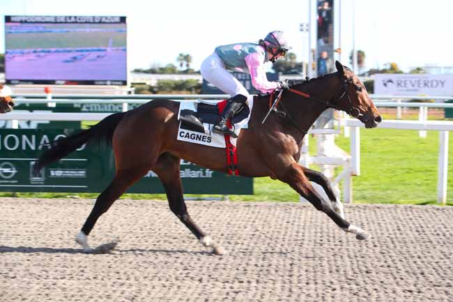 Photo d'arrivée de la course pmu PRIX DES BOUGAINVILLIERS à CAGNES-SUR-MER le Mercredi 16 février 2022